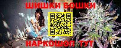 молекула духа Камышлов